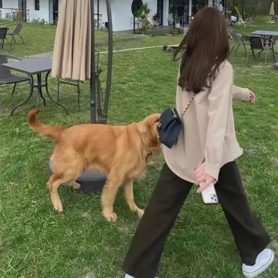直言真相第二季